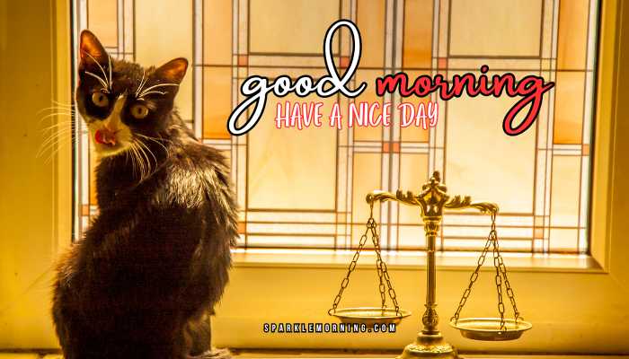 good morning animal images