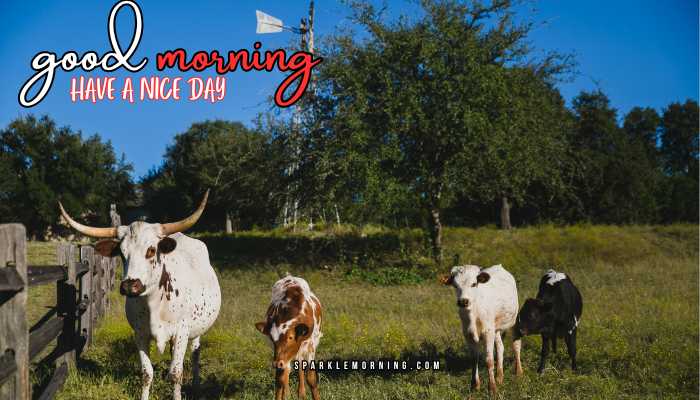 good morning animal images