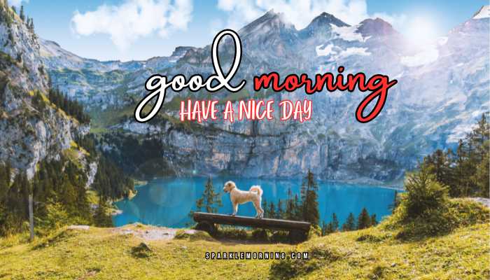 good morning animal images