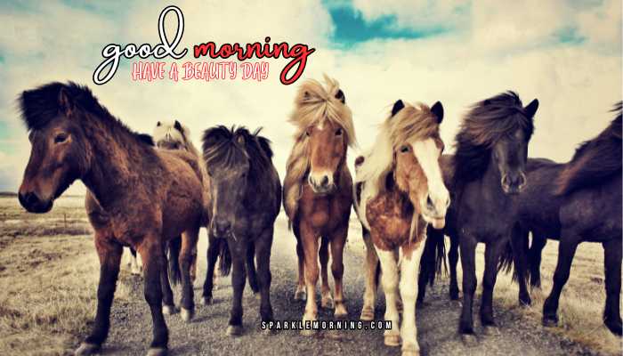 good morning animal images