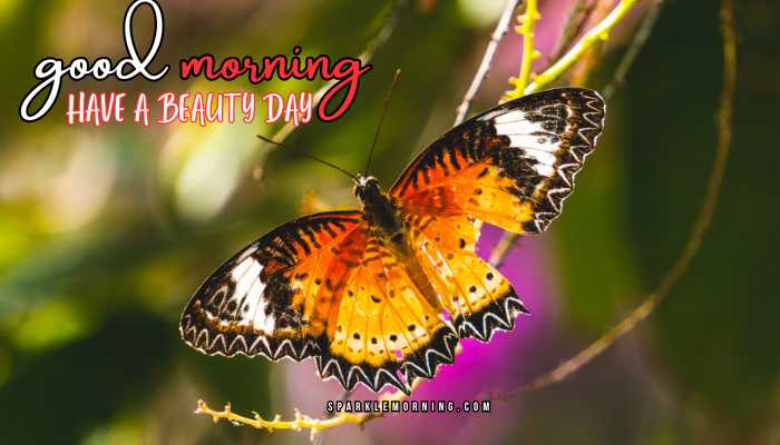 good morning animal images