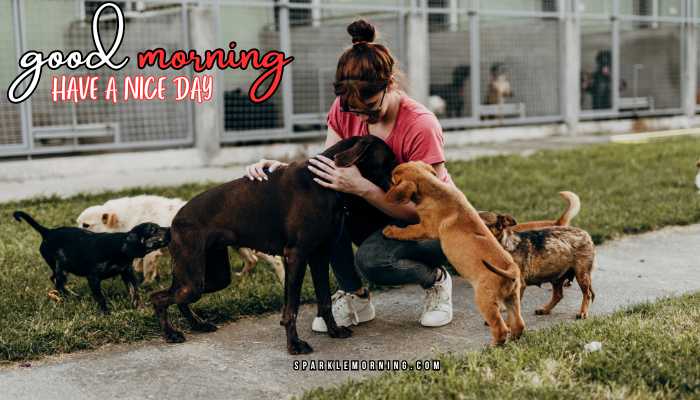 good morning animal images