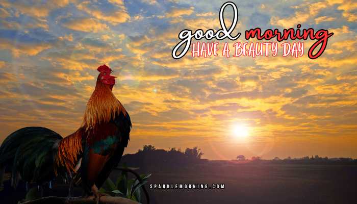 good morning animal images