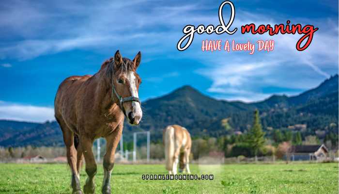 good morning animal images