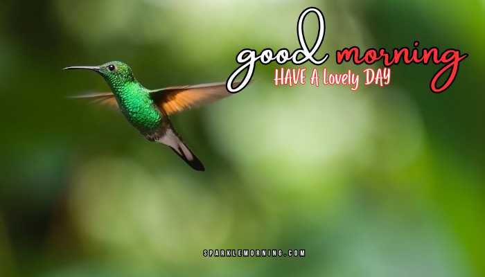 good morning animal images