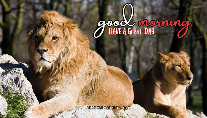 good morning animal images