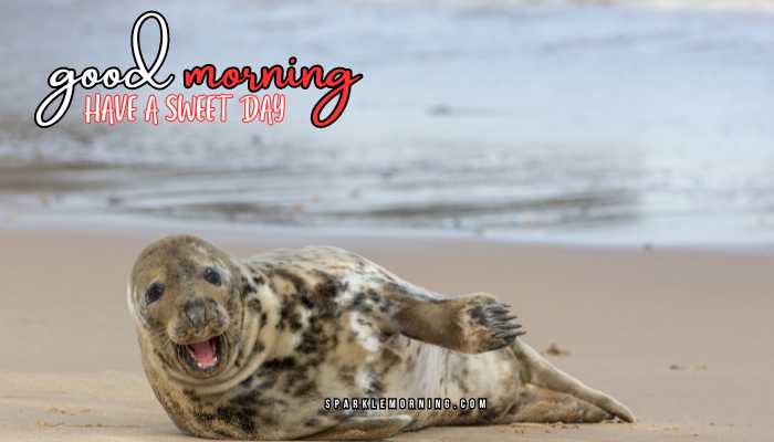 good morning animal images
