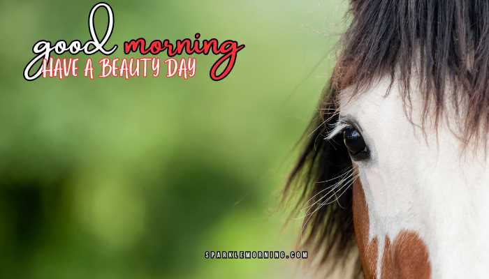 good morning animal images