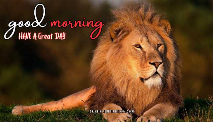 good morning animal images