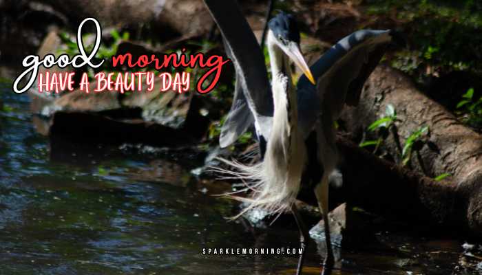 good morning animal images