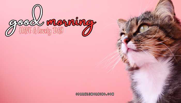 good morning animal images