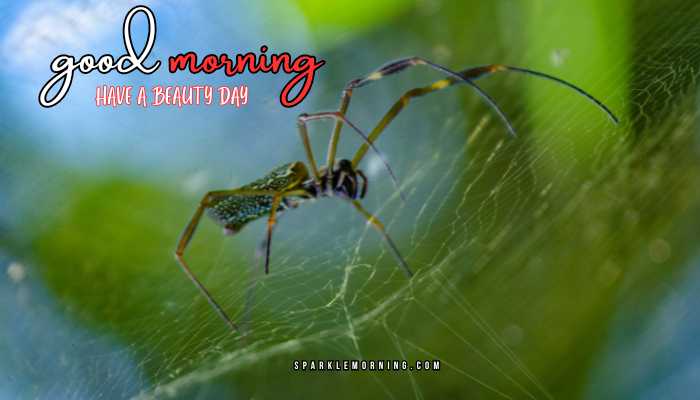 good morning animal images