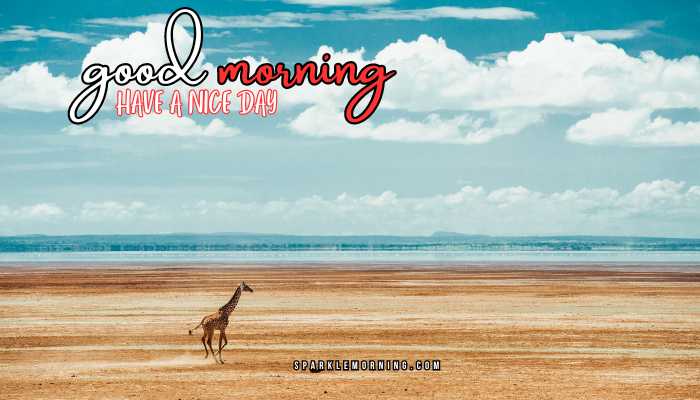 good morning animal images