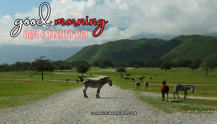 good morning animal images