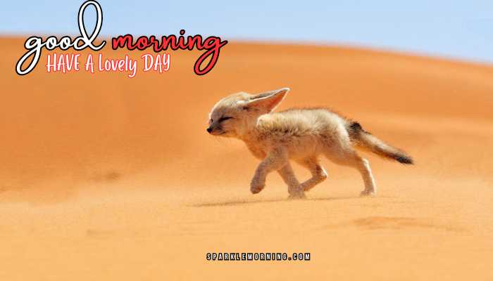 good morning animal images