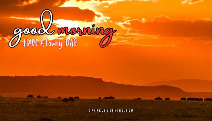 good morning animal images