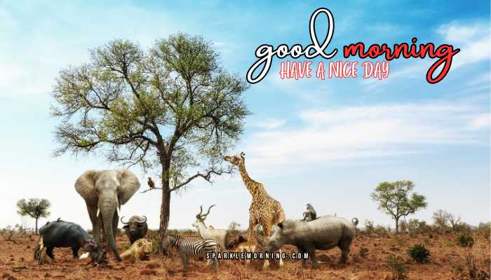 good morning animal images