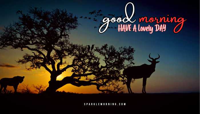 good morning animal images