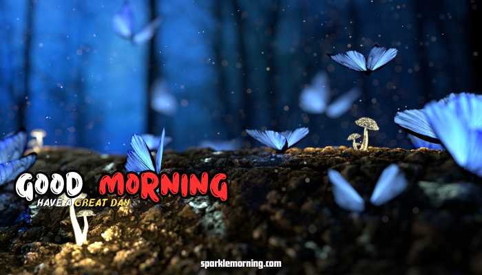 good morning butterfly images