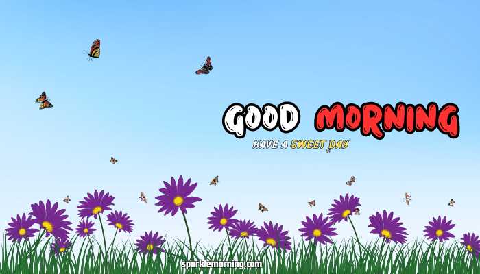 good morning butterfly images v