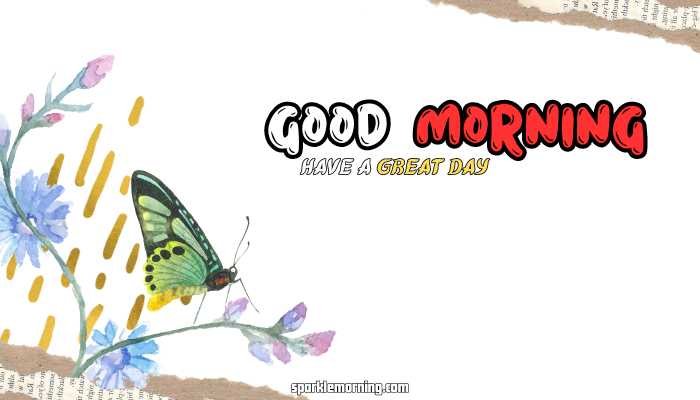 good morning butterfly images