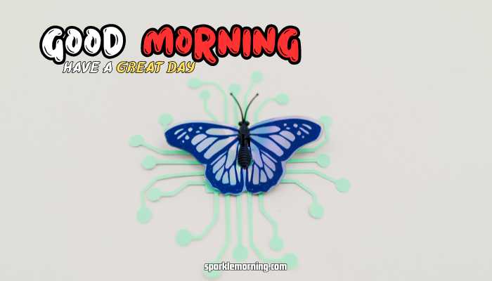 good morning butterfly images