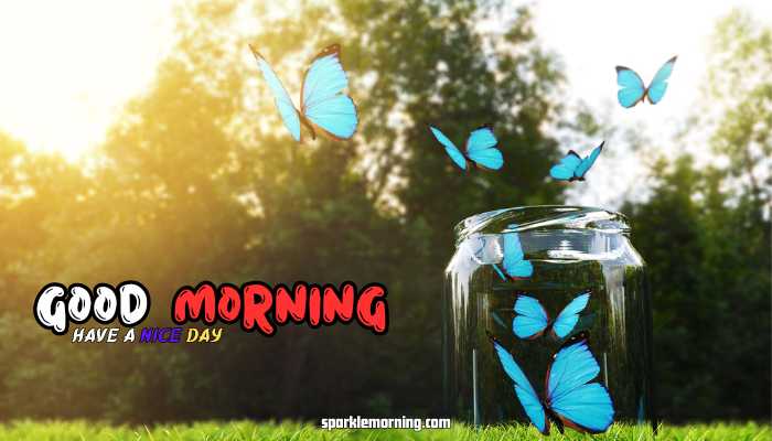 good morning butterfly images