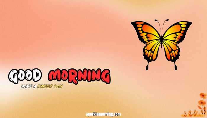 good morning butterfly images