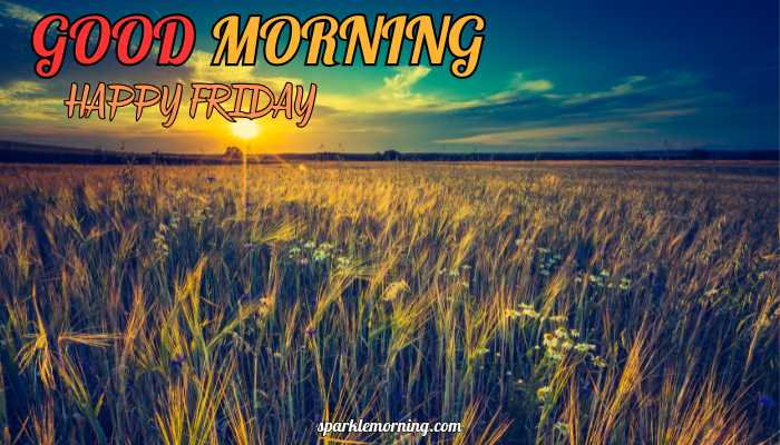 good morning happy friday images (