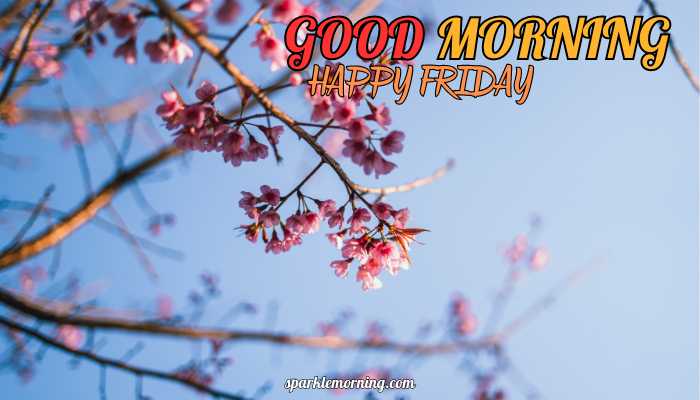 good morning happy friday images