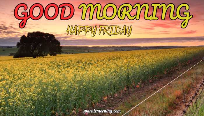 good morning happy friday images