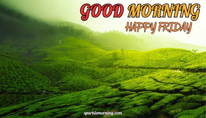 good morning happy friday images