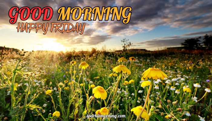 good morning happy friday images