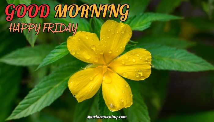 good morning happy friday images
