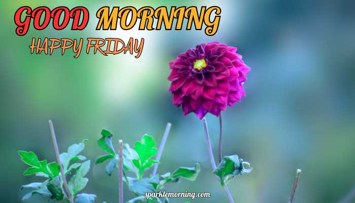 good morning happy friday images