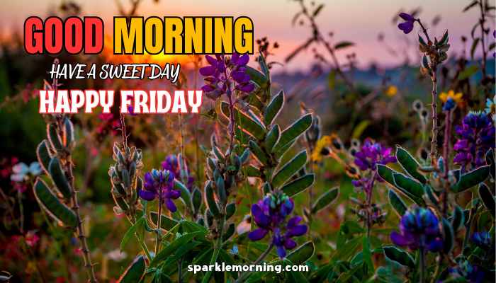 good morning happy friday images