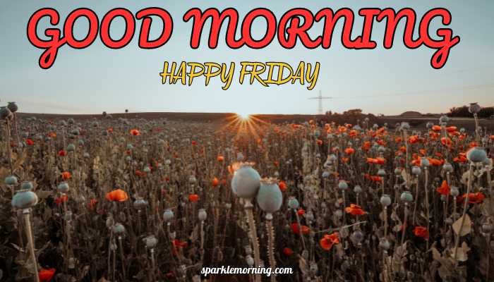 good morning happy friday images