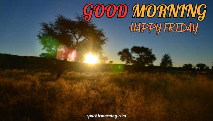 good morning happy friday images