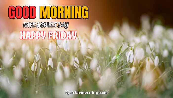 good morning happy friday images