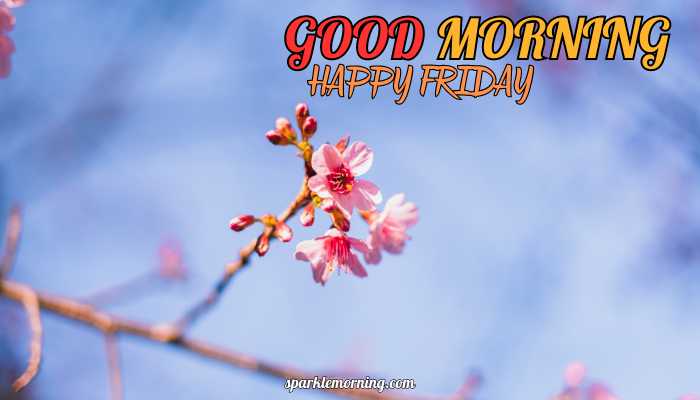 good morning happy friday images