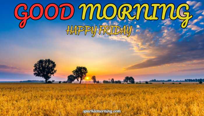 good morning happy friday images
