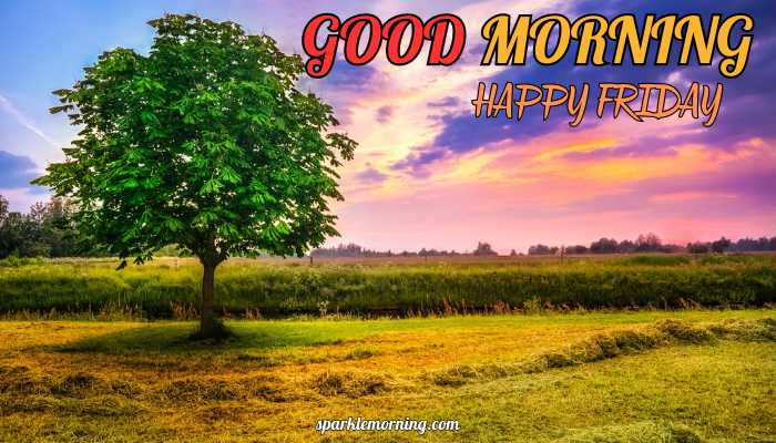 good morning happy friday images