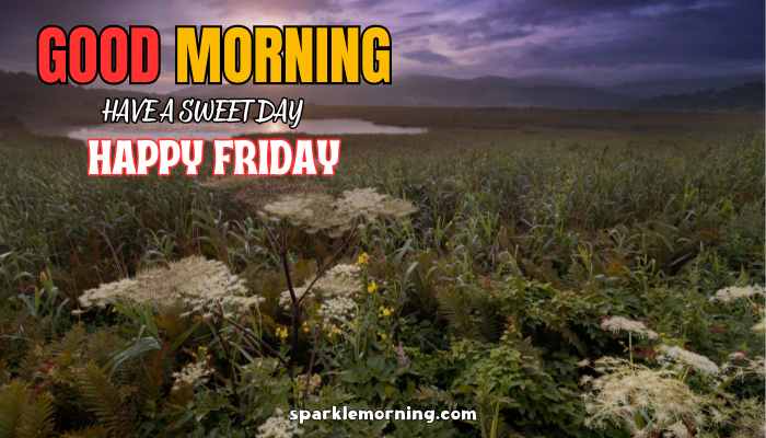 good morning happy friday images