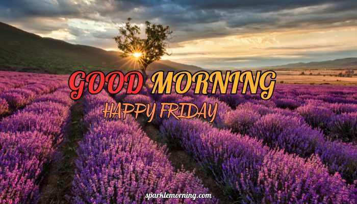 good morning happy friday images