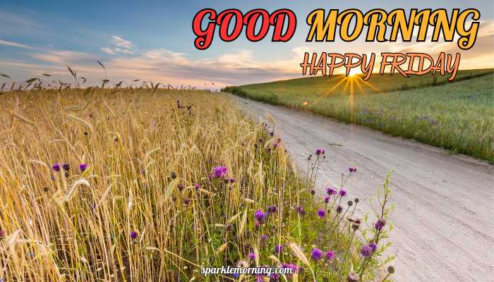 good morning happy friday images