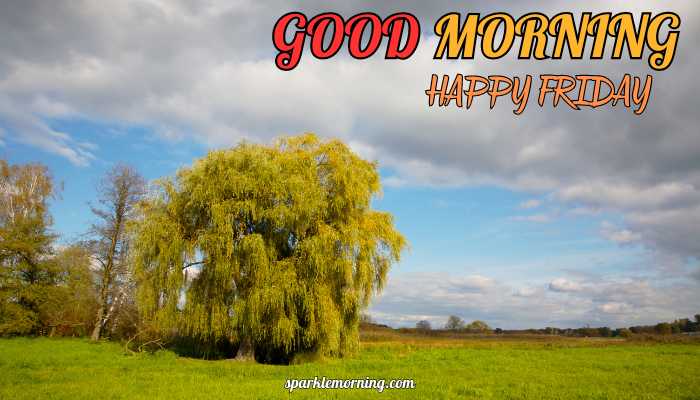good morning happy friday images