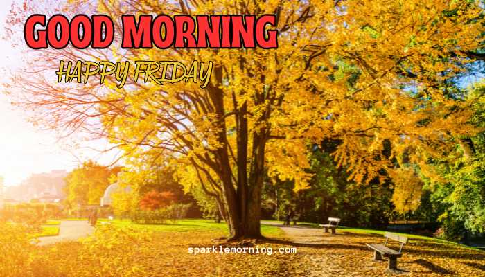 good morning happy friday images