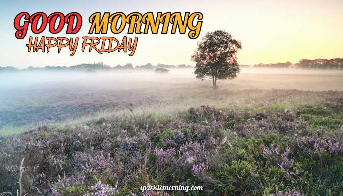 good morning happy friday images
