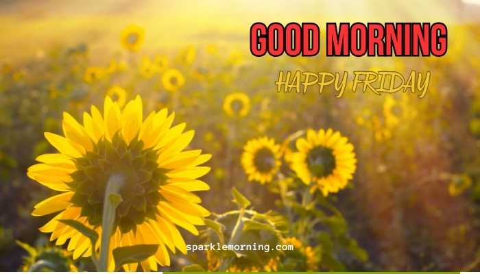 good morning happy friday images