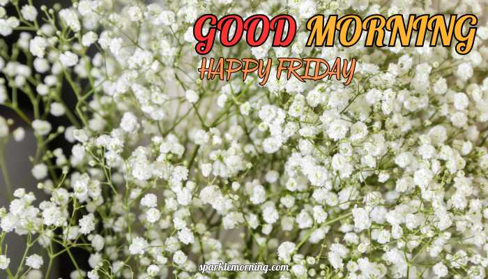 good morning happy friday images